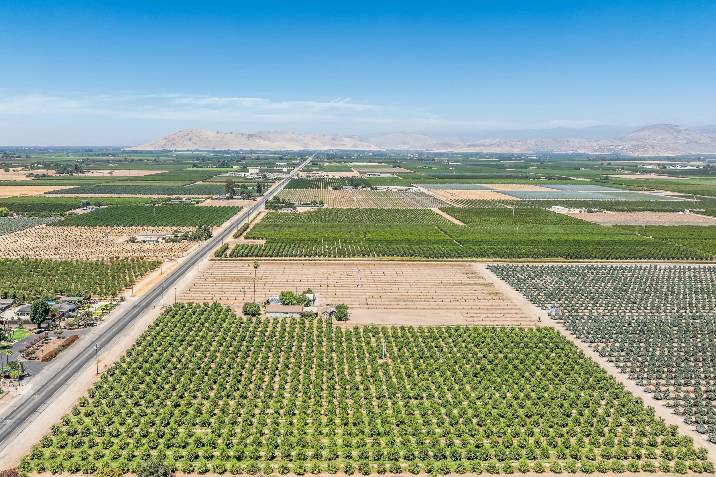 Aerial of agricultural orchard rows and farmland stretching toward distant foothills