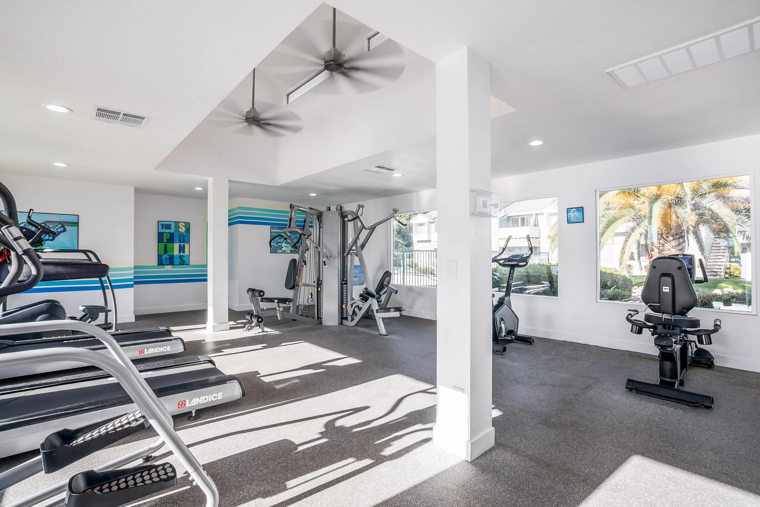 Apartment community fitness center with treadmills, weight machines, and palm-lined windows