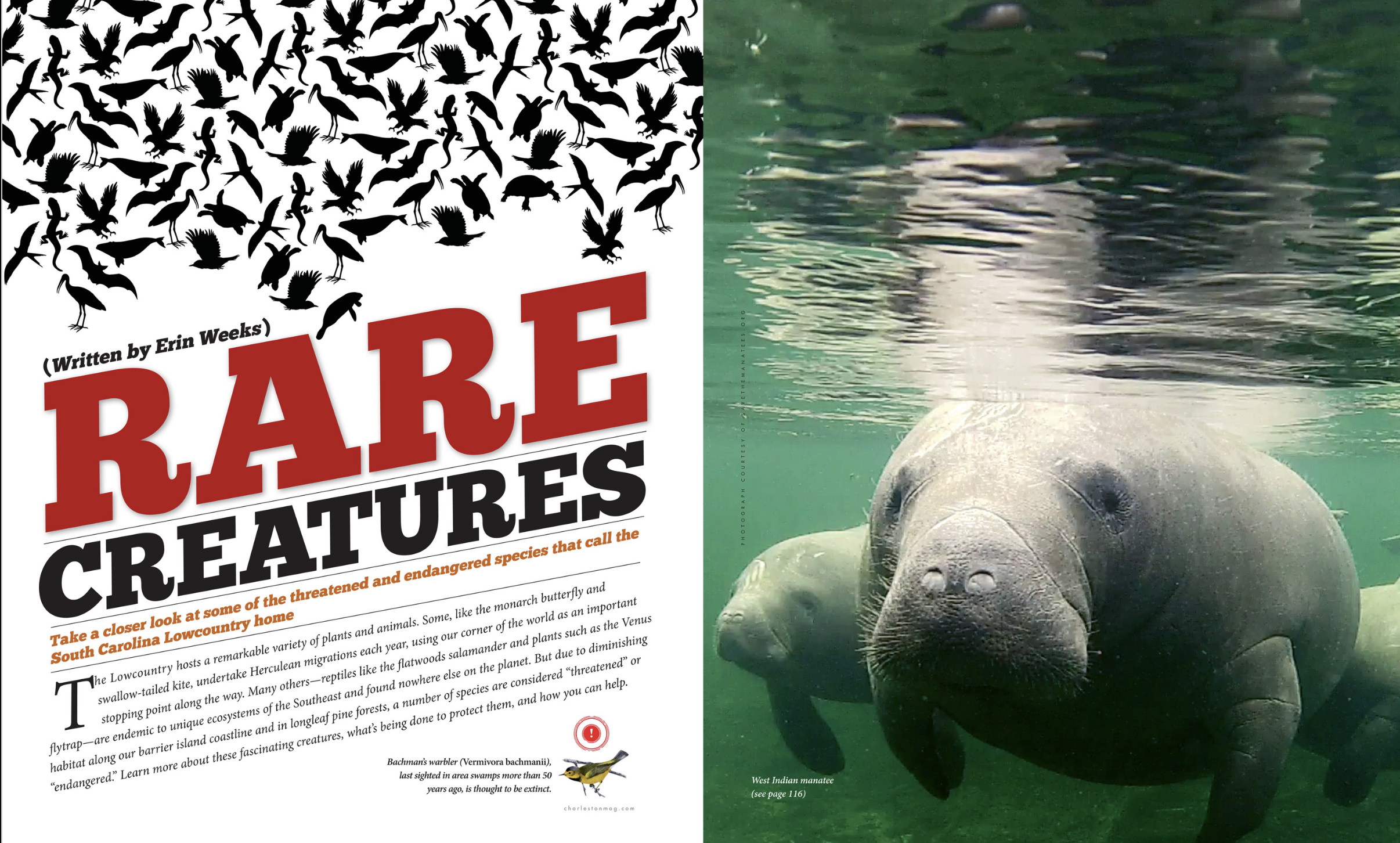 Screenshot 2025-12-21 at 9.20.38 AM.png