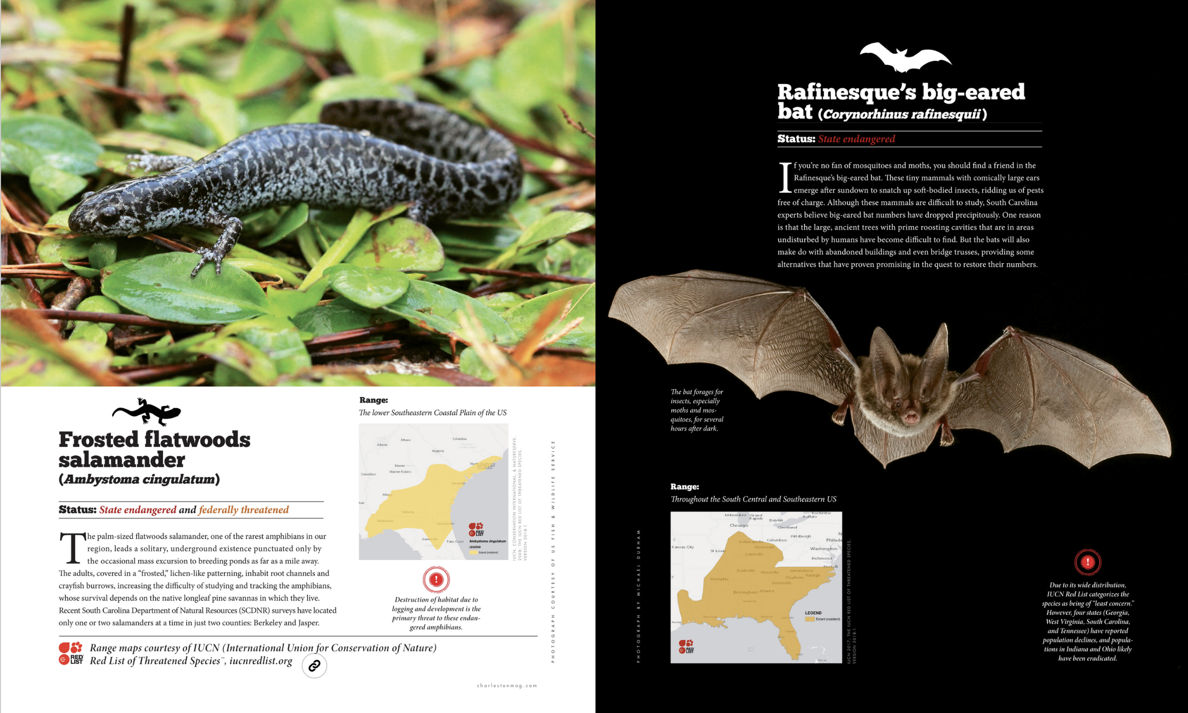 Screenshot 2025-12-21 at 9.20.49 AM.png