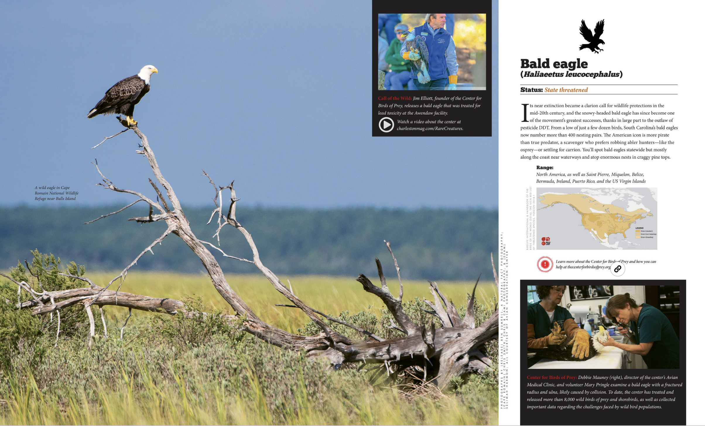 Screenshot 2025-12-21 at 9.20.59 AM.png