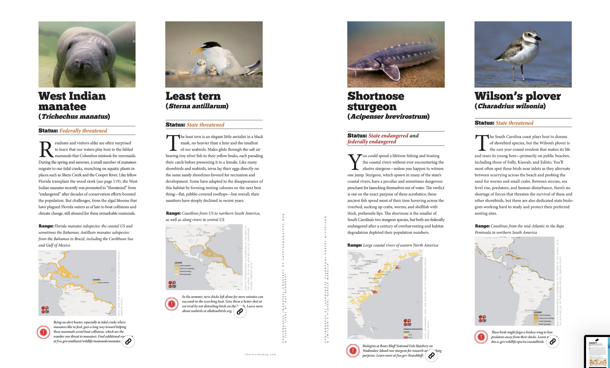 Screenshot 2025-12-21 at 9.21.33 AM.png