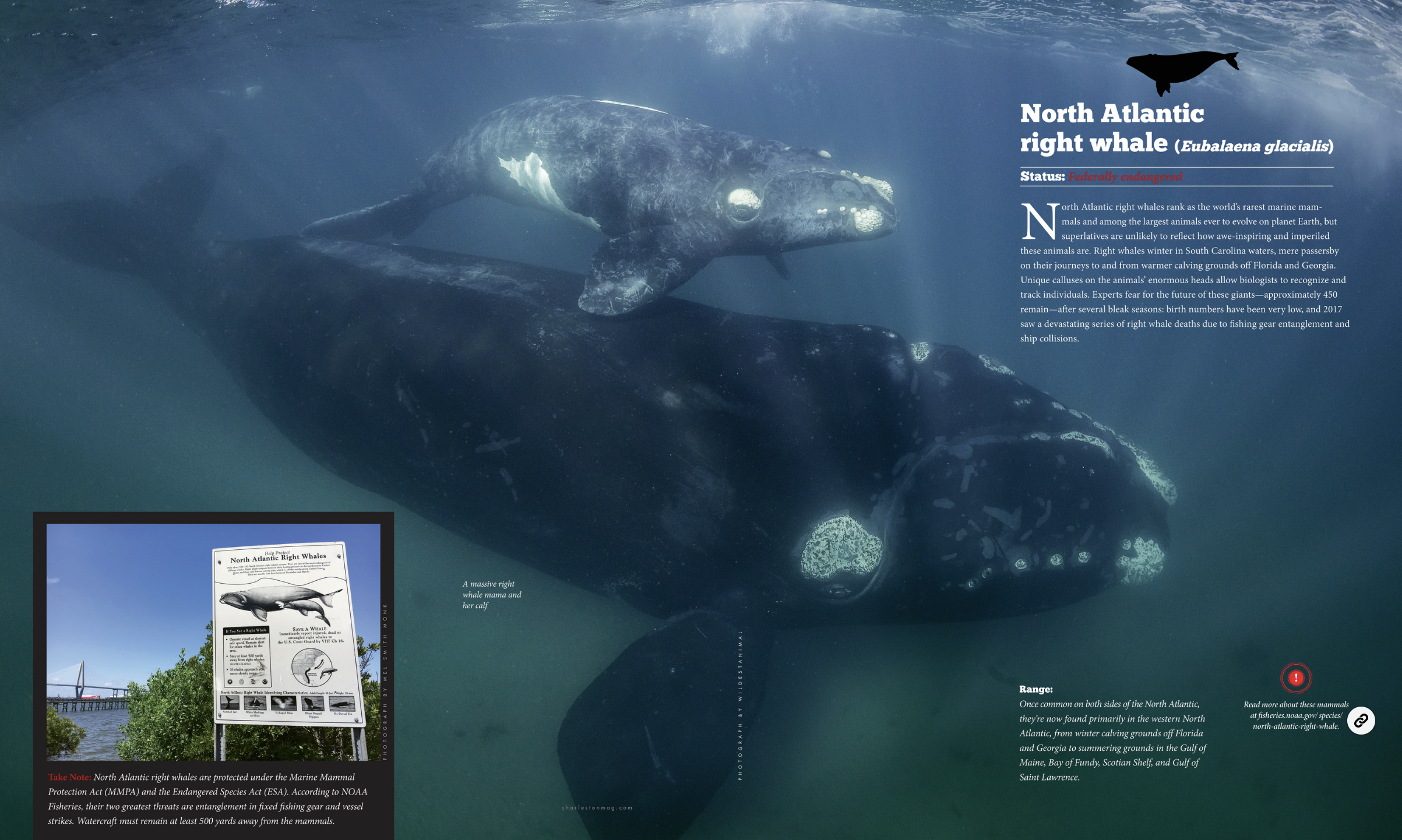 Screenshot 2025-12-21 at 9.22.00 AM.png