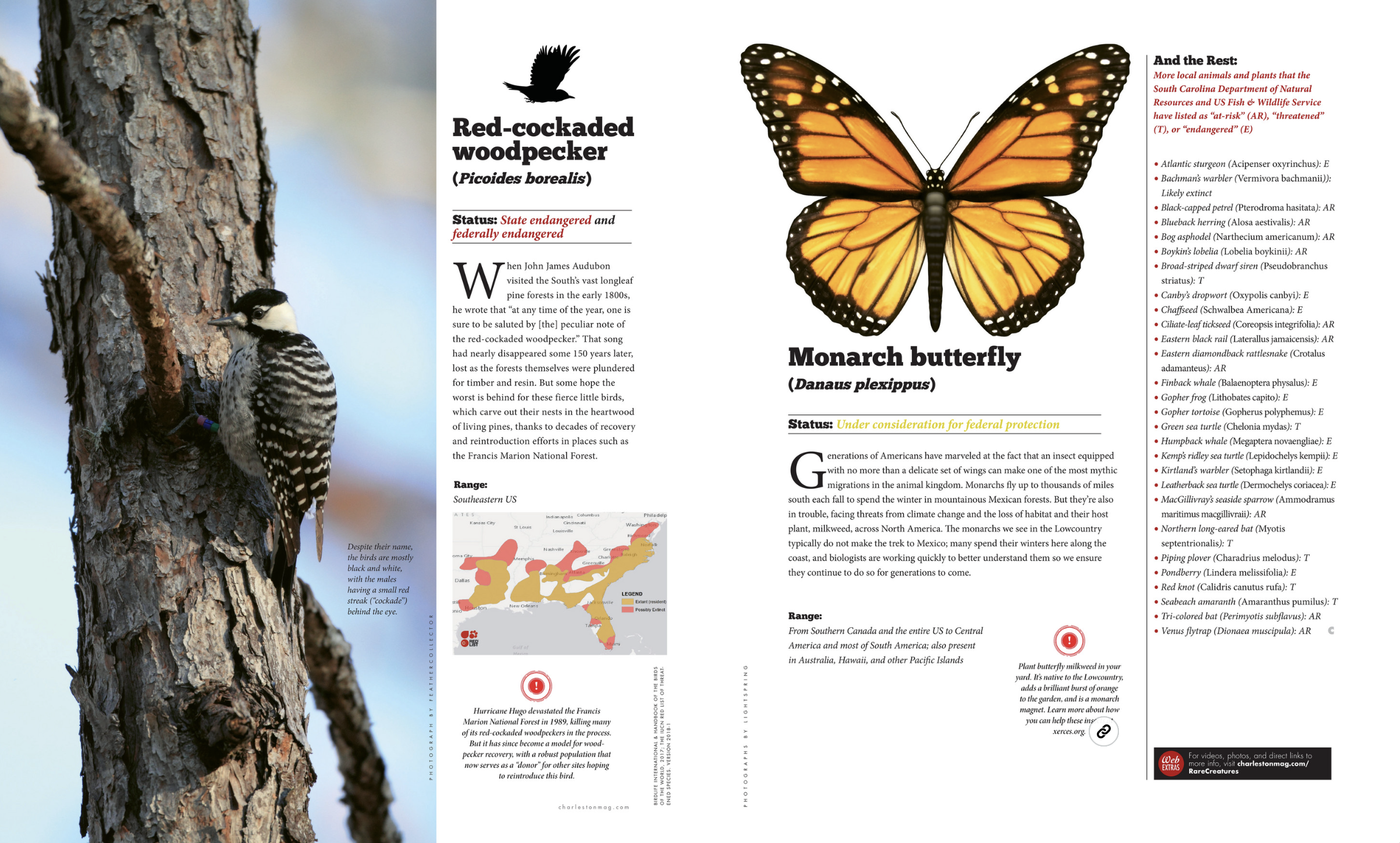 Screenshot 2025-12-21 at 9.22.12 AM.png