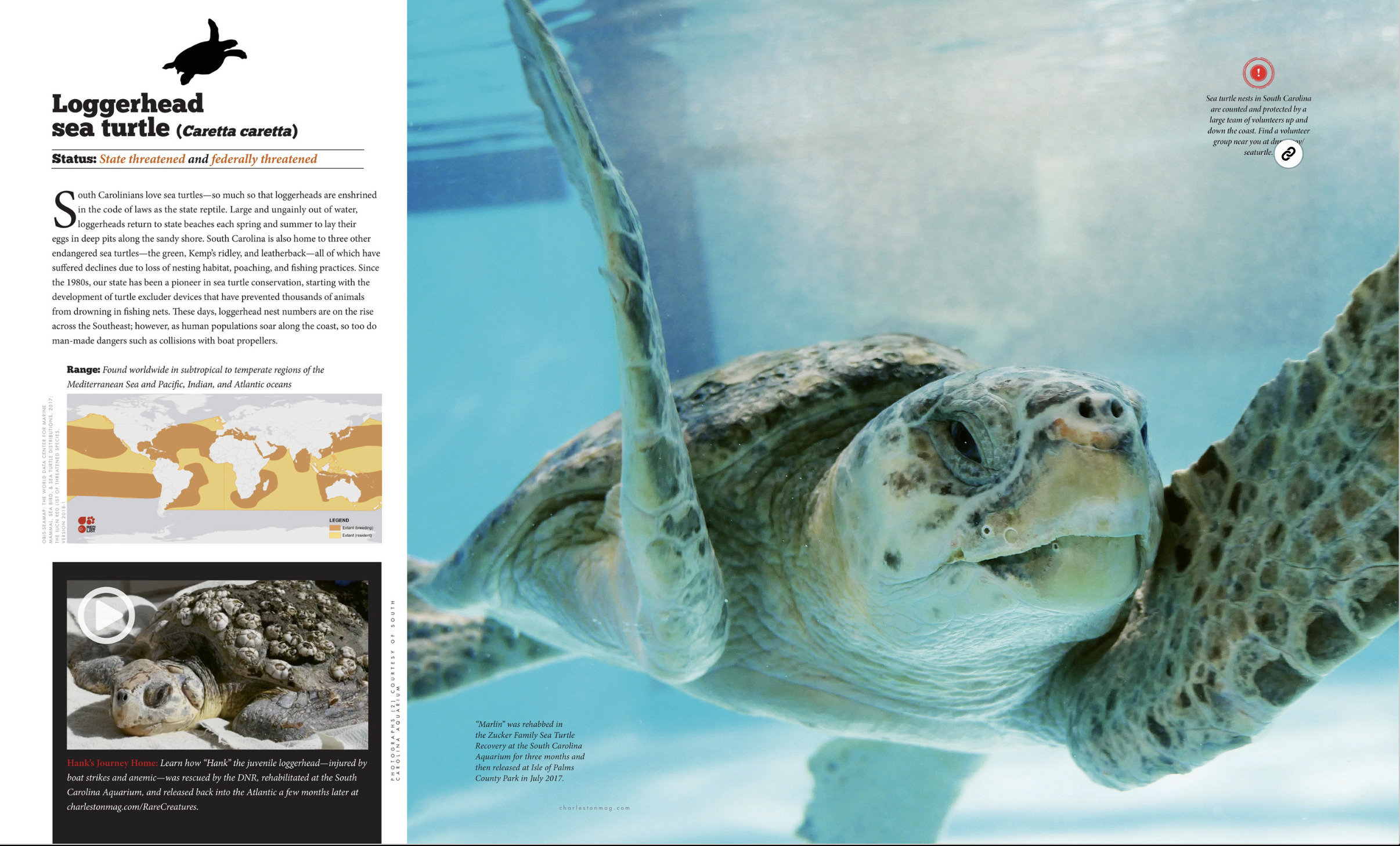 Screenshot 2025-12-21 at 9.21.18 AM.png