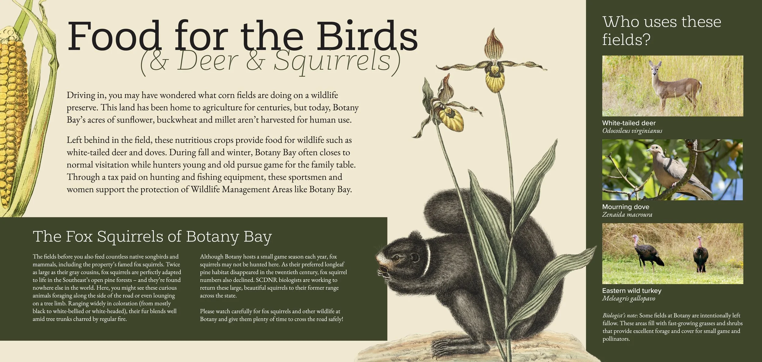 SCDNR Fossil SIgn Files for Reference5.jpg