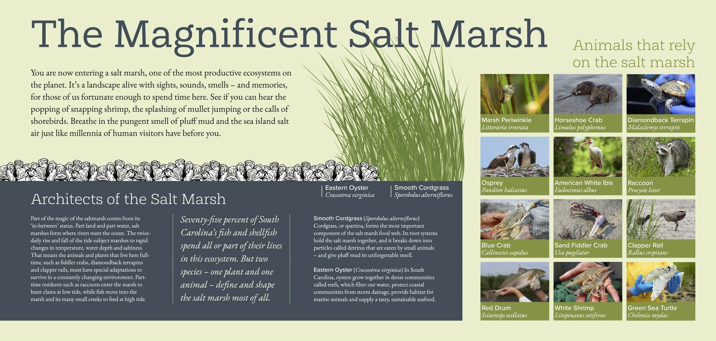 SCDNR Fossil SIgn Files for Reference7.jpg
