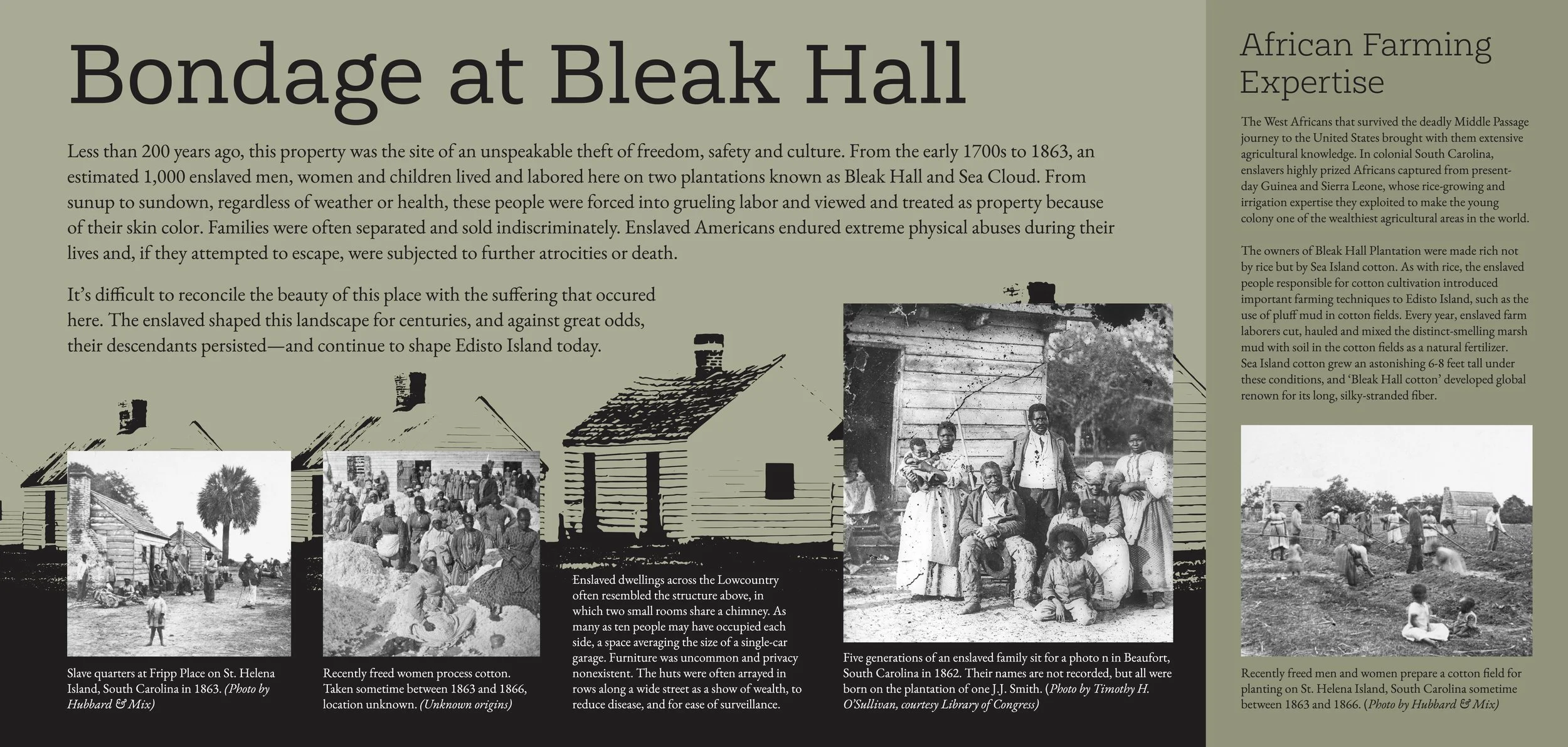 SCDNR Fossil SIgn Files for Reference11.jpg