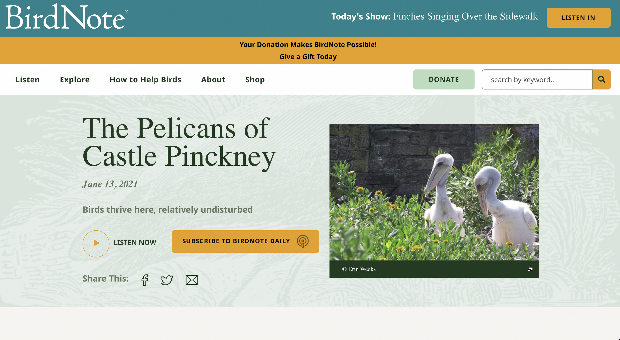 Screenshot 2026-01-12 at 8.52.14 AM.png