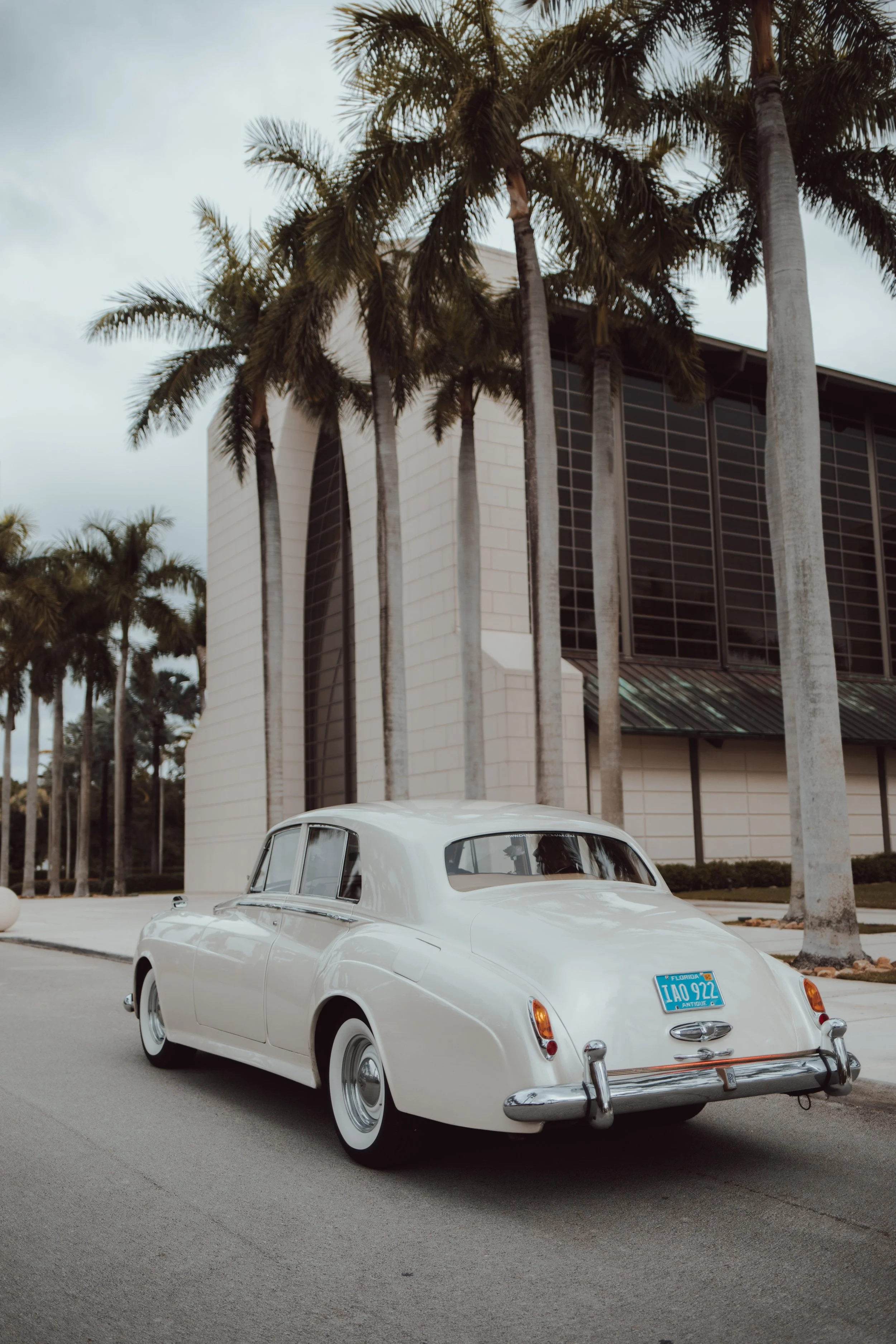 Auto clásico color blanco estacionado en una calle con palmeras y un edificio moderno de fondo.