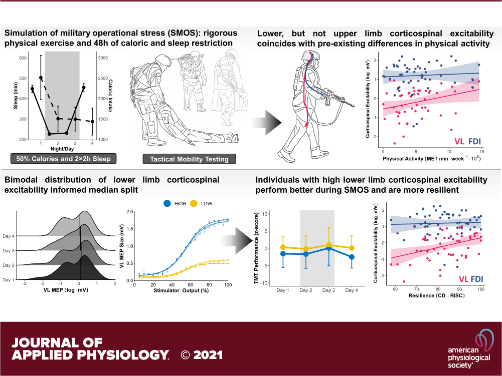Scientific infographic from Journal of Applied Physiology showing results from a study on the effects of military operational stress simulation on physiology and resilience, including graphs and illustrations of testing procedures.