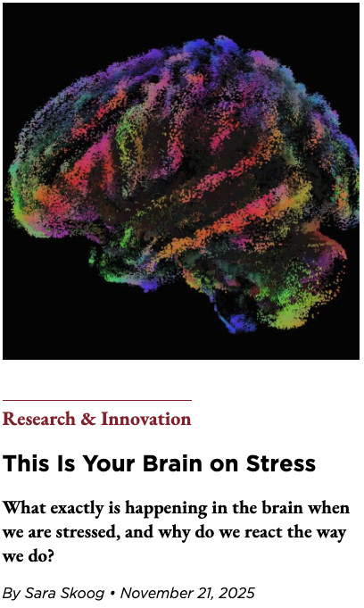 Digital illustration of a human brain with colorful, abstract neural connections against a black background.