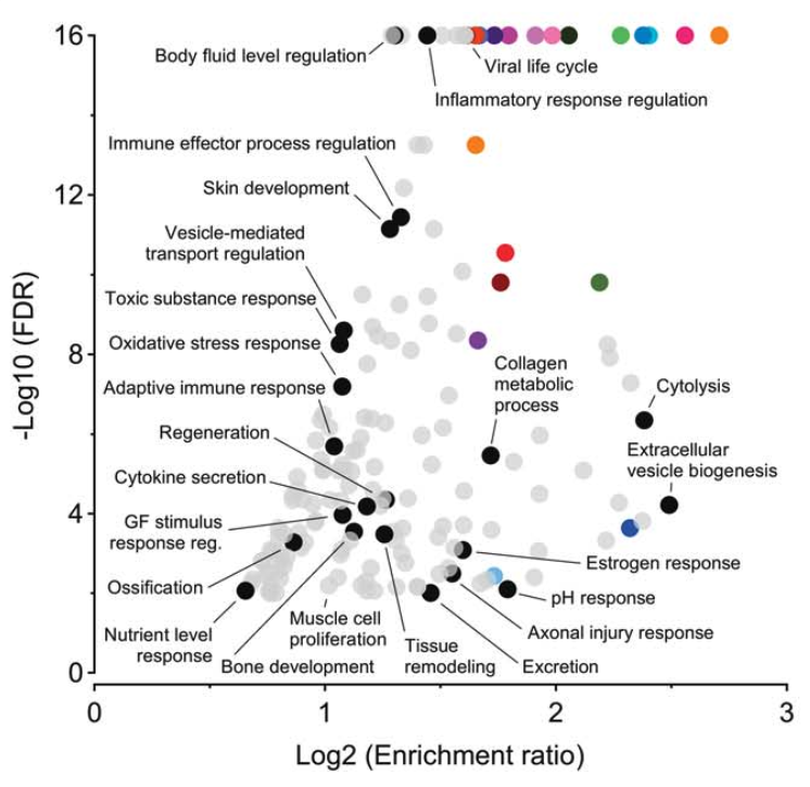 We optimized an advanced label-free quantitation mass spectrometry technique to identify urinary proteomic signatures that track adaptive changes in trabecular bone volume during U.S. Army Basic Combat Training.