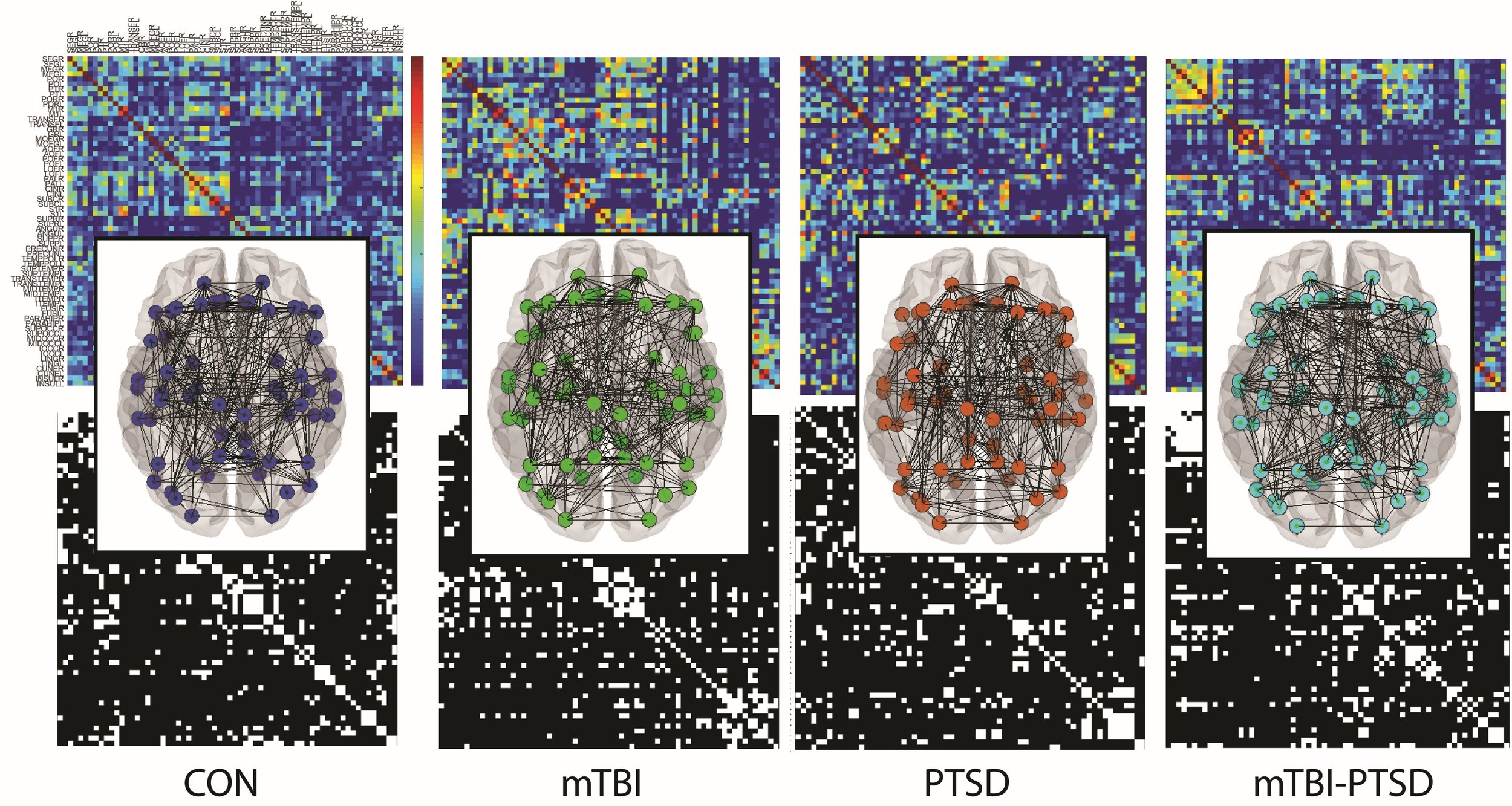 Structural connectome disruptions in military personnel with mTBI and PTSD