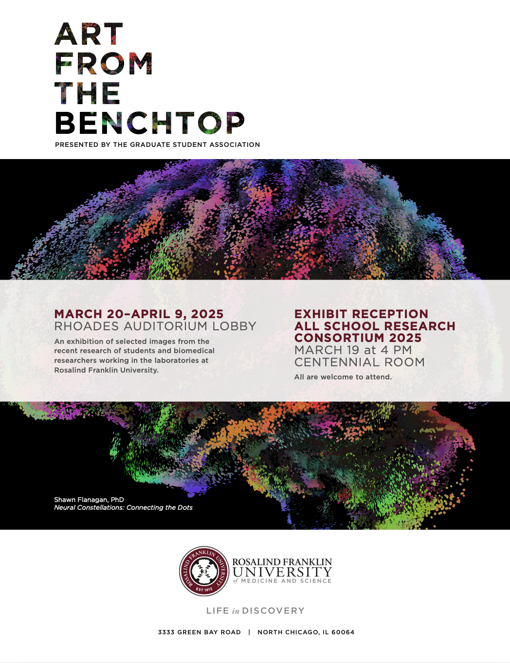 Poster promoting 'Art from the Bench,' an exhibit of images from research by biomedical researchers at Rosalind Franklin University, taking place March 20 to April 9, 2025, at Rhoades Auditorium Lobby, with a reception March 19 at 4 PM in the Centennial Room, featuring a colorful digital illustration of a brain.