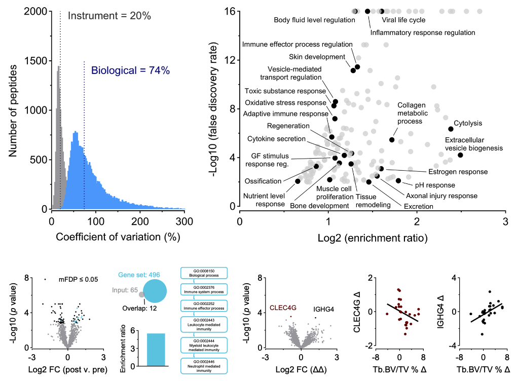 Biomarkers of bone adaptation during Army basic combat training