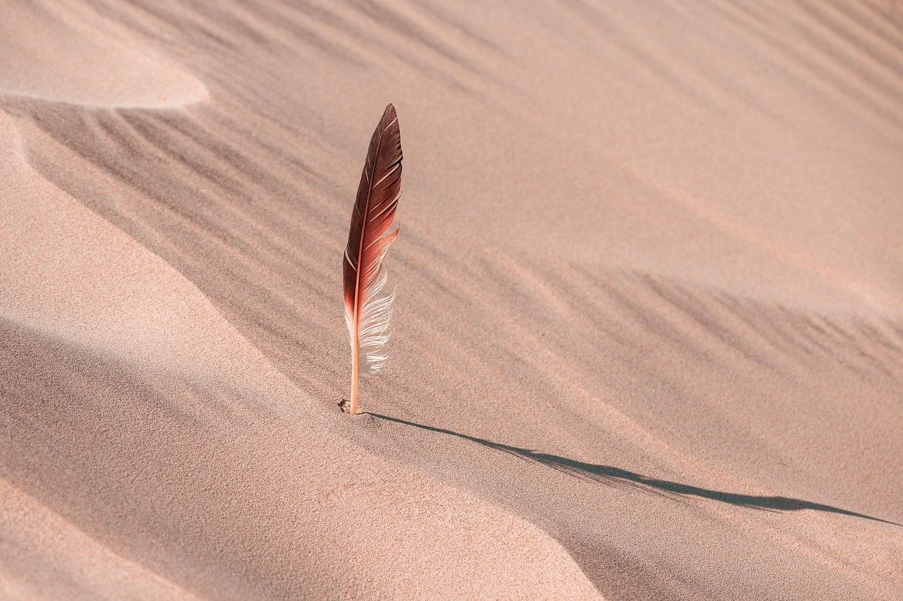 A single feather standing upright in the middle of a sand dune, casting a long shadow.