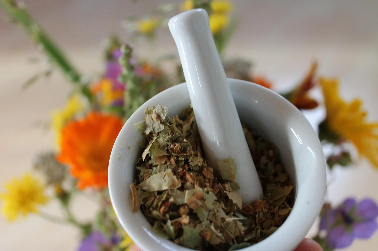 Chinese herbal medicine consultation
