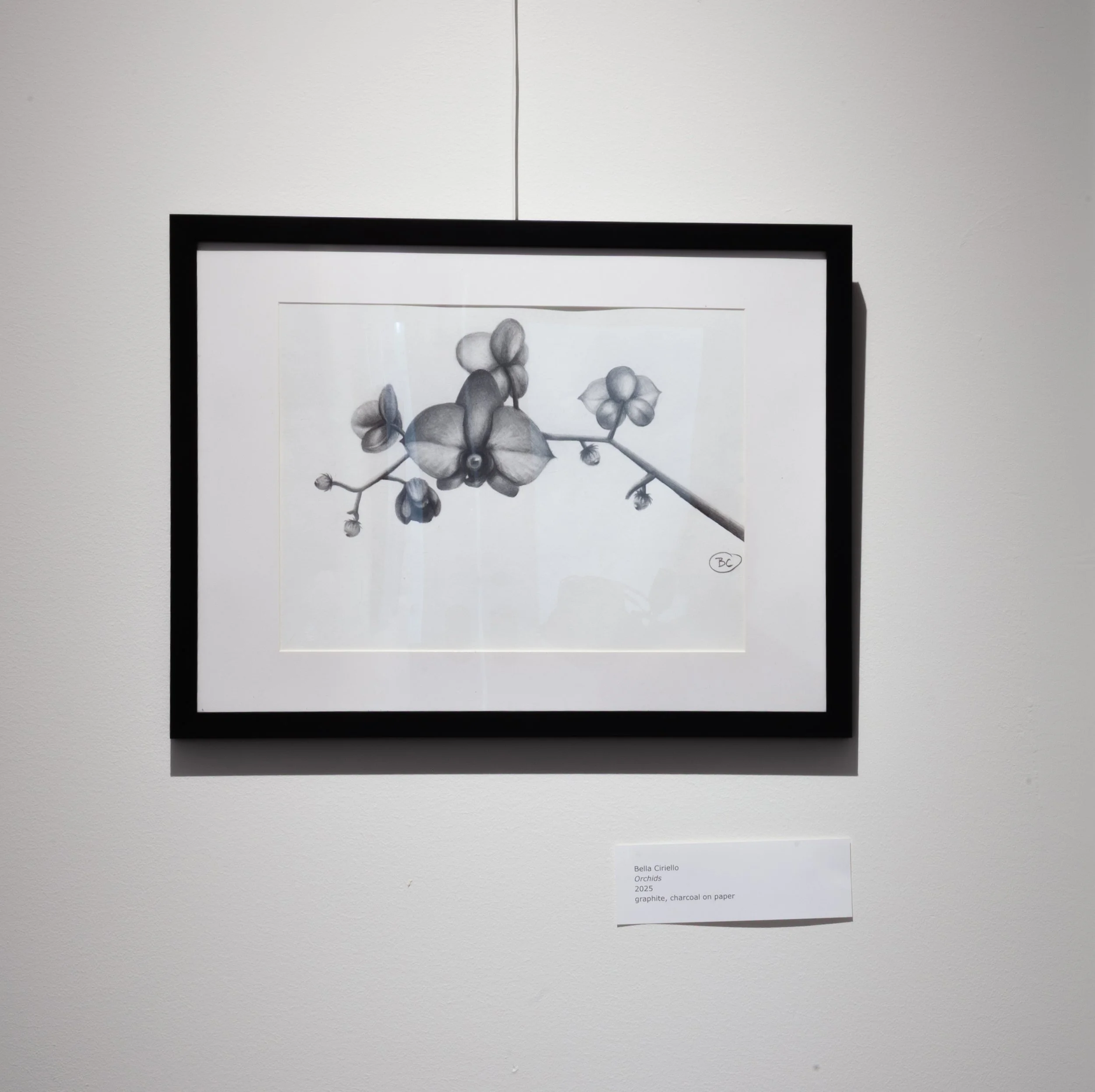 BellaCiriello-SoloArtShow-1571.jpg