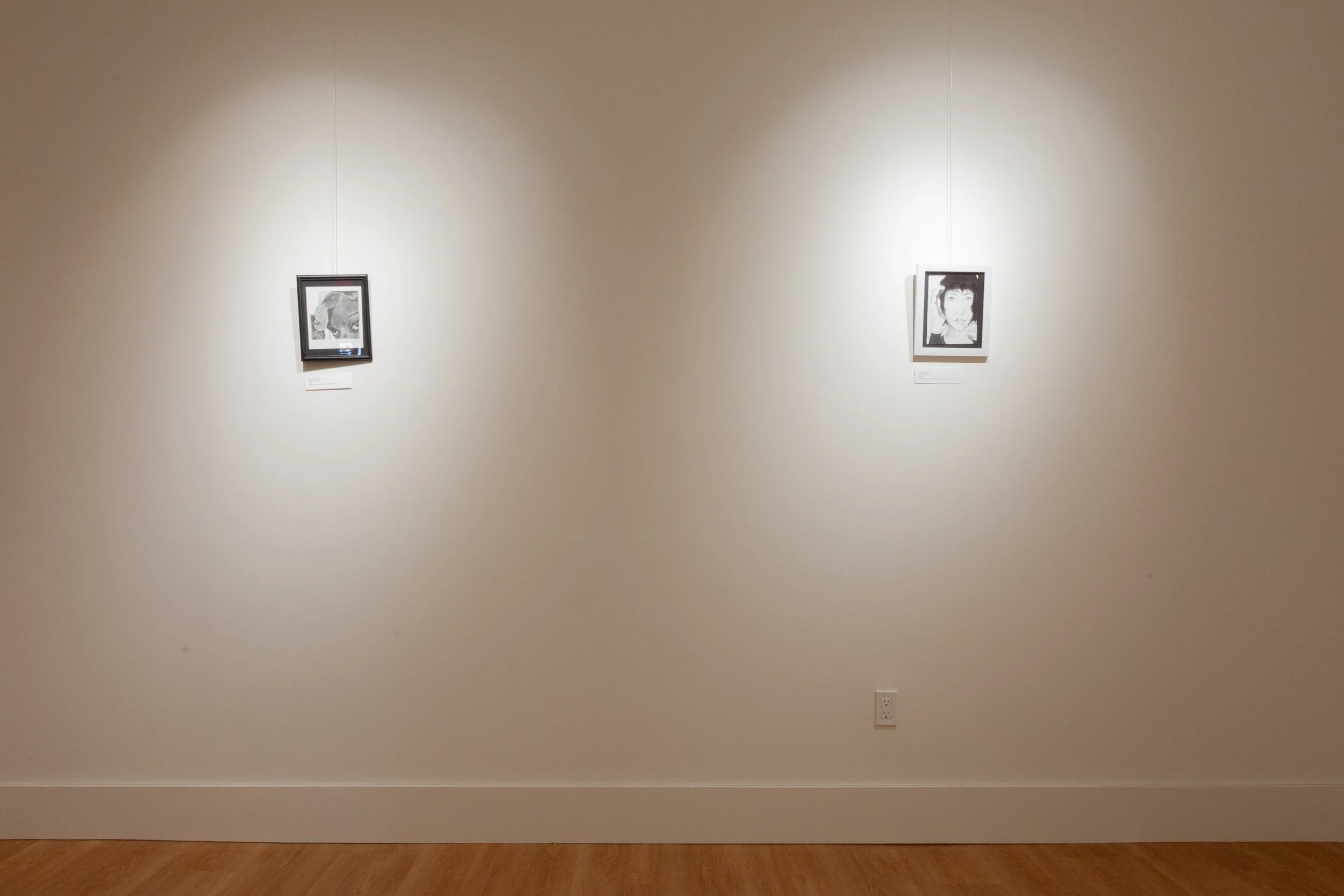 AdriannaBryant-SoloArtShow-1595.jpg