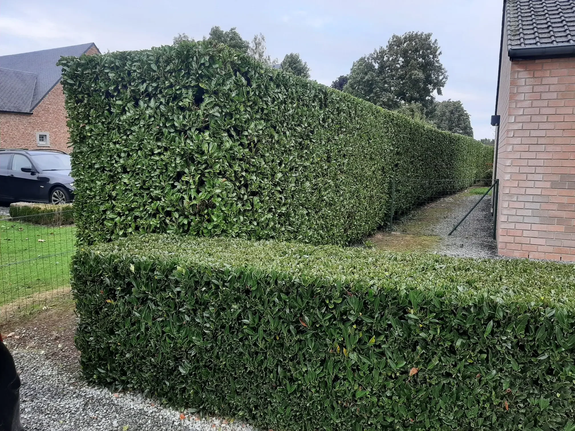 Entretien de jardin et contrats annuels à Huy et Marchin Clair et Vert