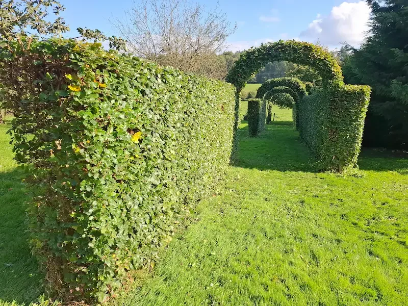 Entretien de jardin et contrats annuels à Huy et Marchin Clair et Vert