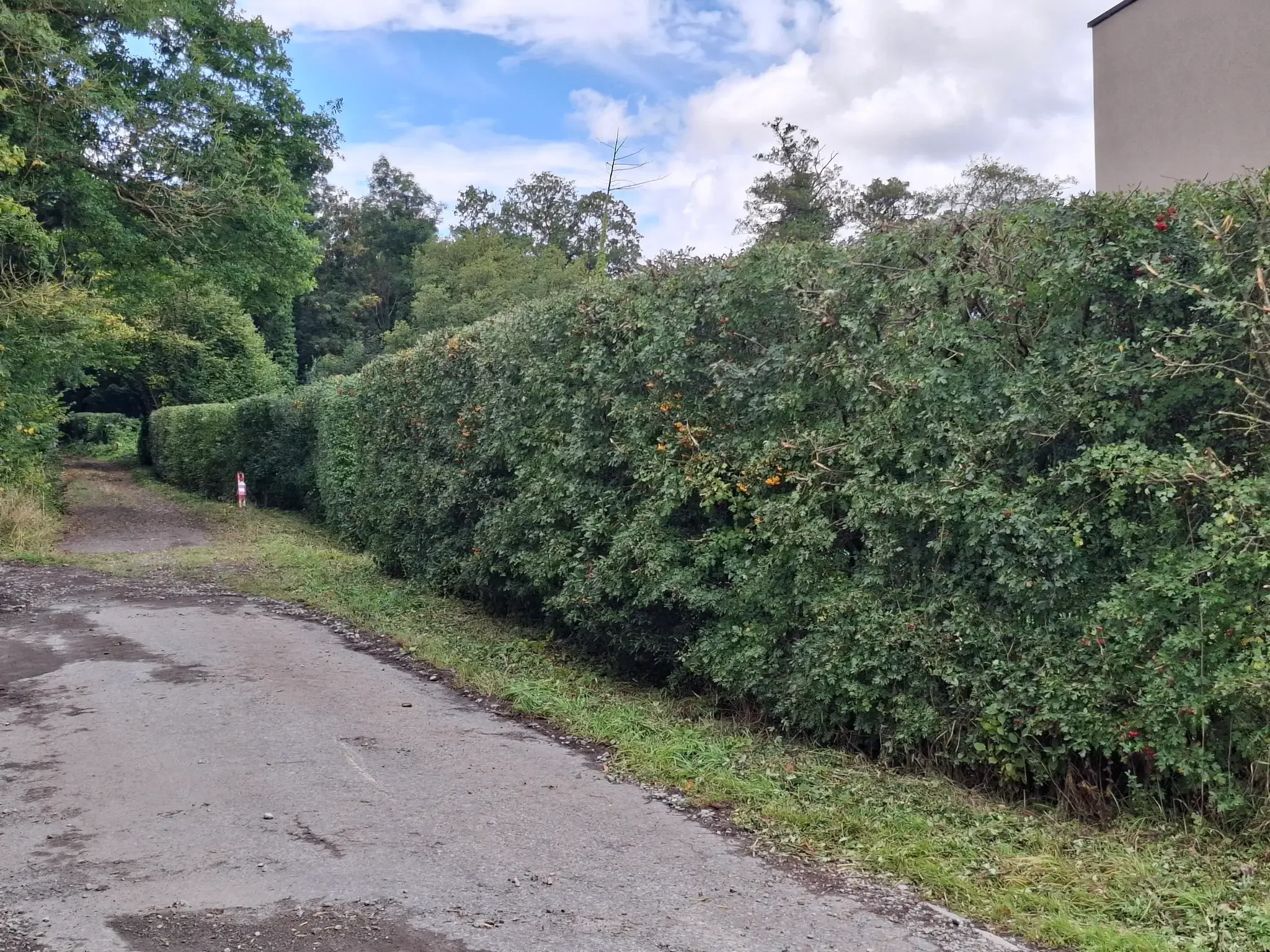 Taille de haie, entretien de jardin, tracteur, Huy, Marchin, Condroz, Clair et Vert