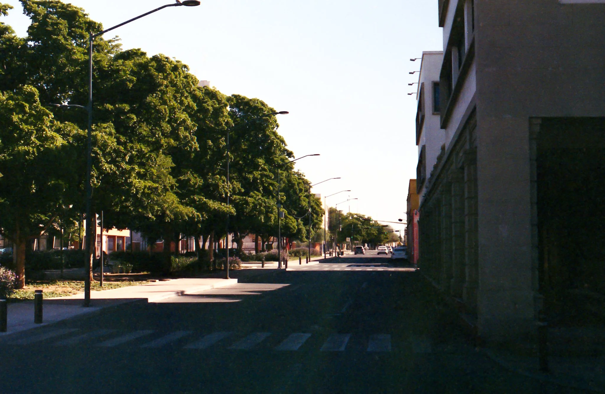 Vista de una calle urbana con árboles y edificios, en un día soleado.