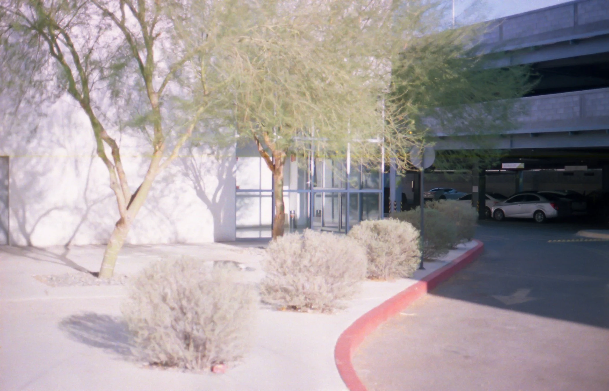 Entrada de un edificio con árboles y arbustos en un entorno árido, sombra de un estacionamiento techado con autos blancos y grises.