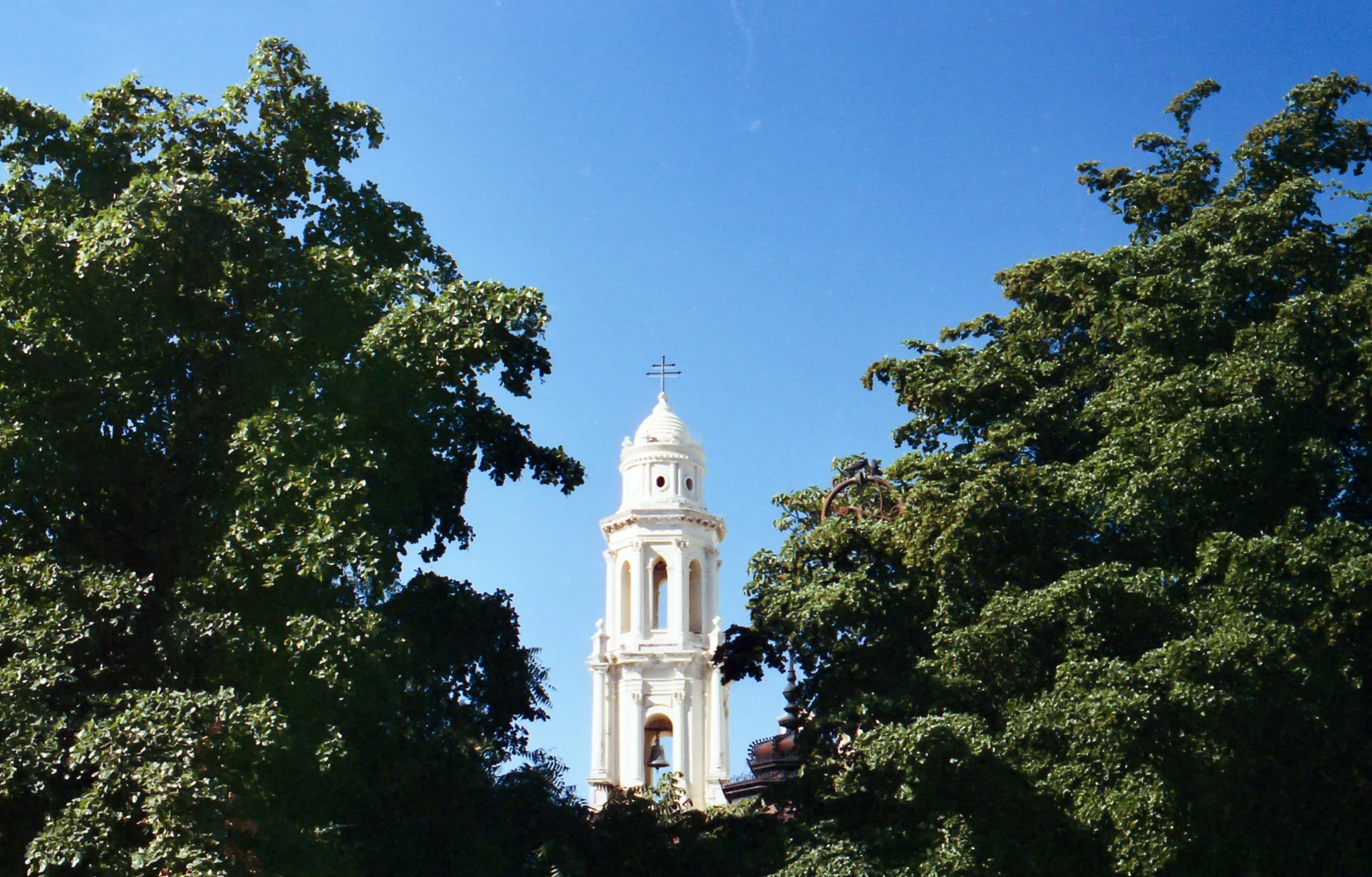 Campanario de una iglesia blanca entre árboles verdes con cielo azul.
