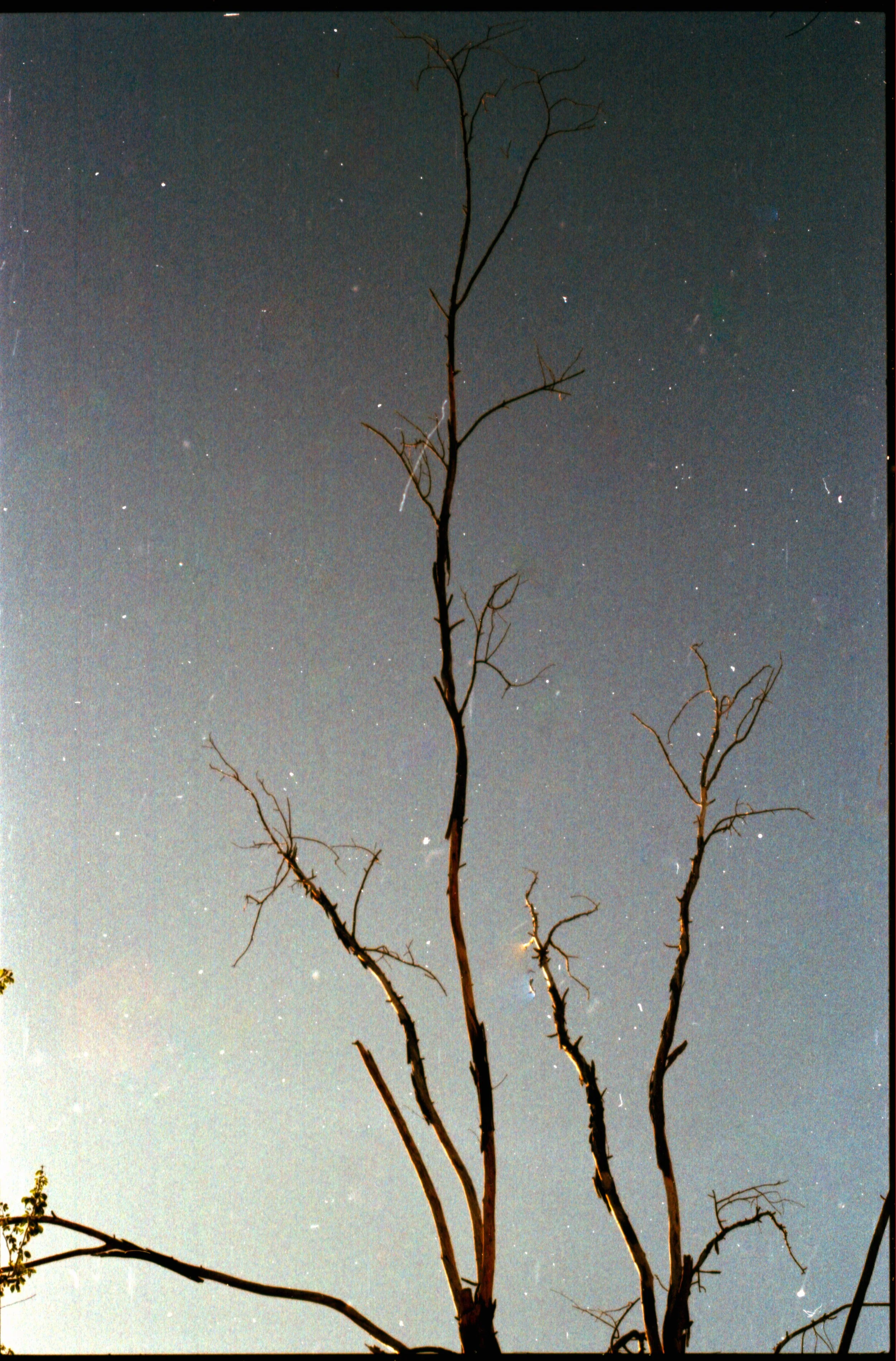 scan004.jpg