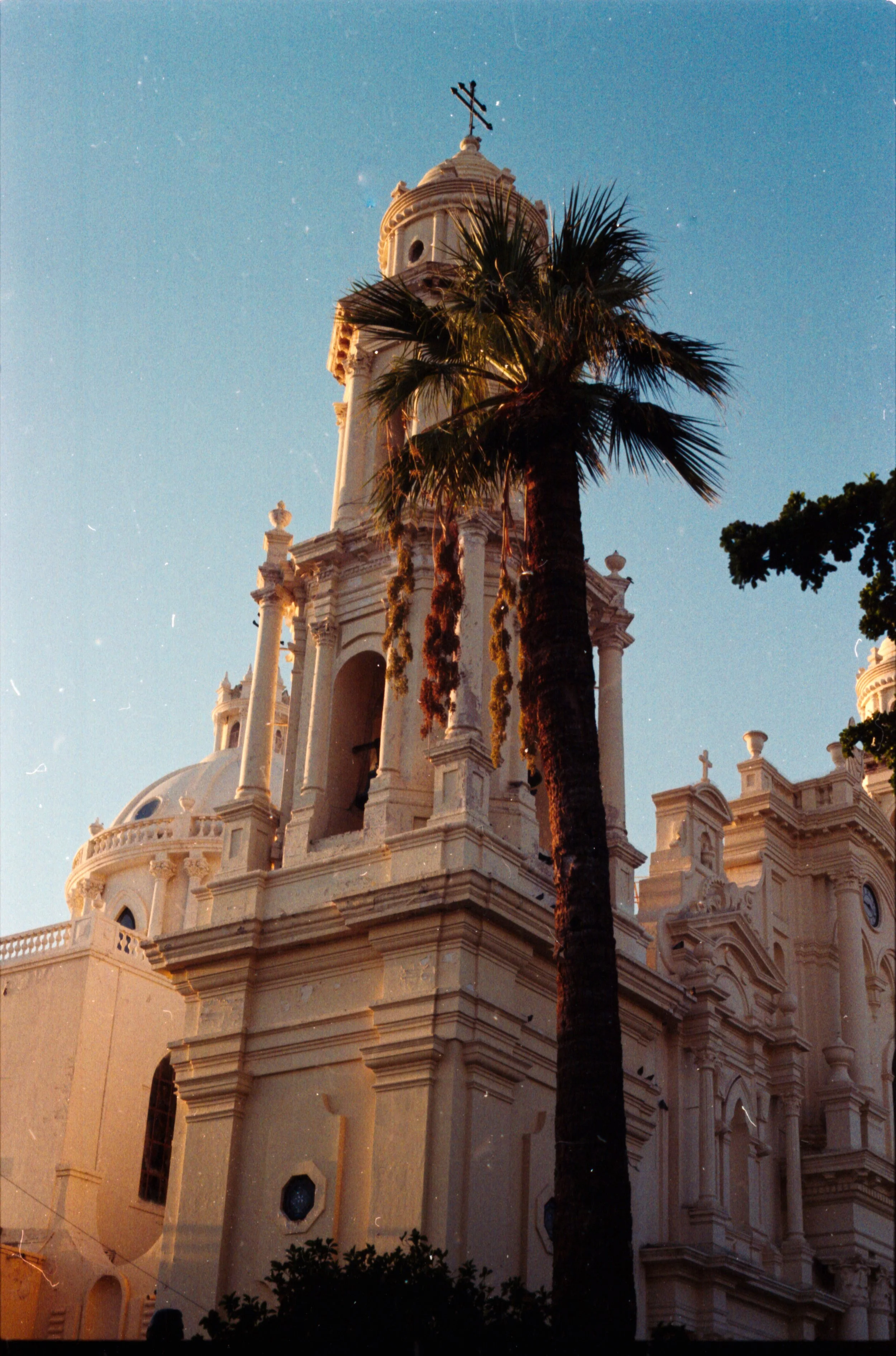 Una iglesia de estilo colonial con arcos y cúpulas, con un árbol de palmera en primer plano y un cielo claro al fondo.