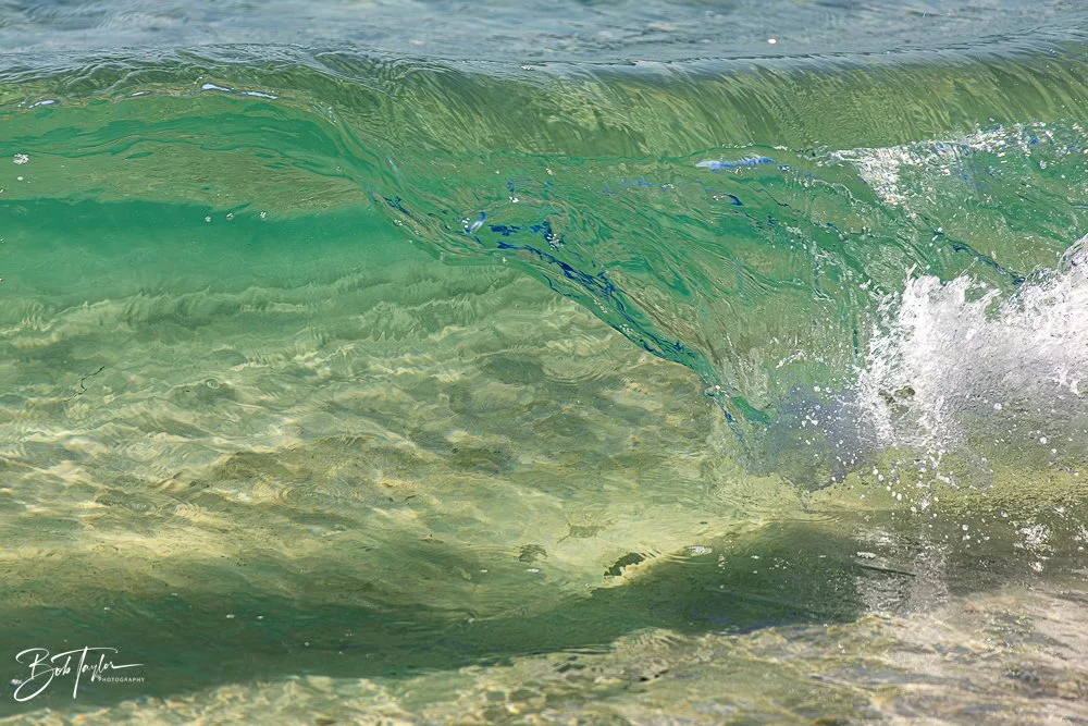 20251116-SASP One Day -12.jpg