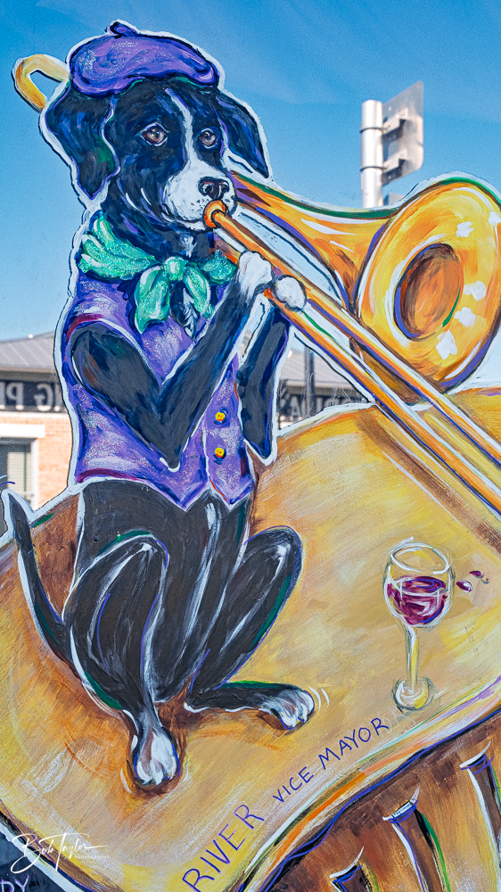 20260115-Mardi Gras Windows -96.png