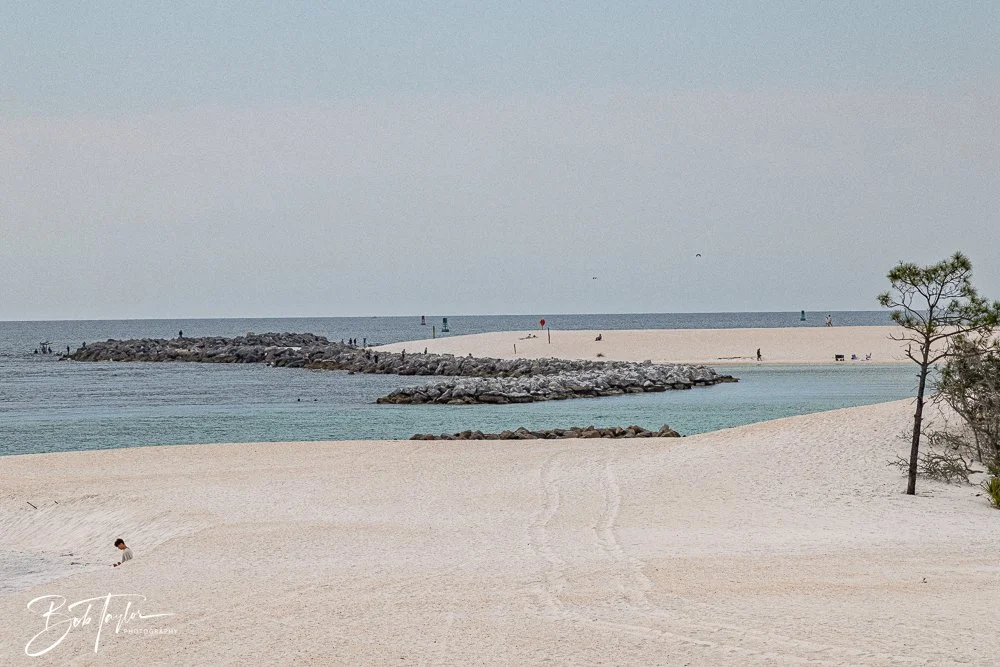 20260214-SASP Story -41.jpg