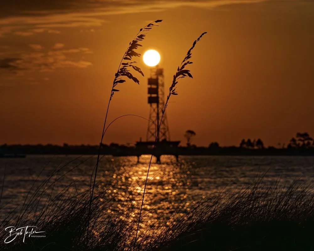 20251117-SASP Sunrise -22.jpg