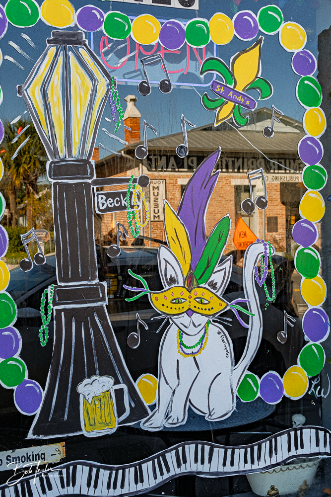 20260115-Mardi Gras Windows -95.png