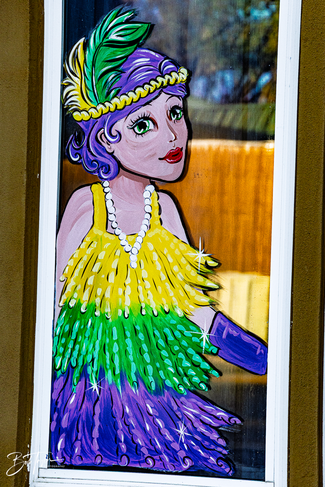 20260115-Mardi Gras Windows -6.png