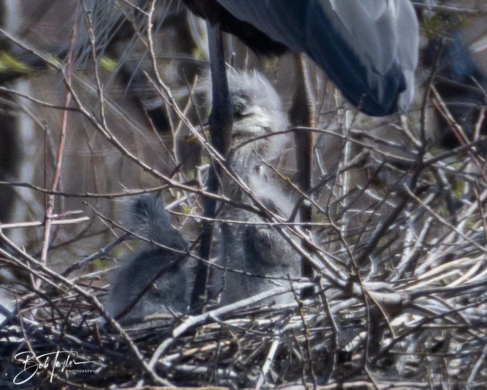 20260212-SASP -14.jpg