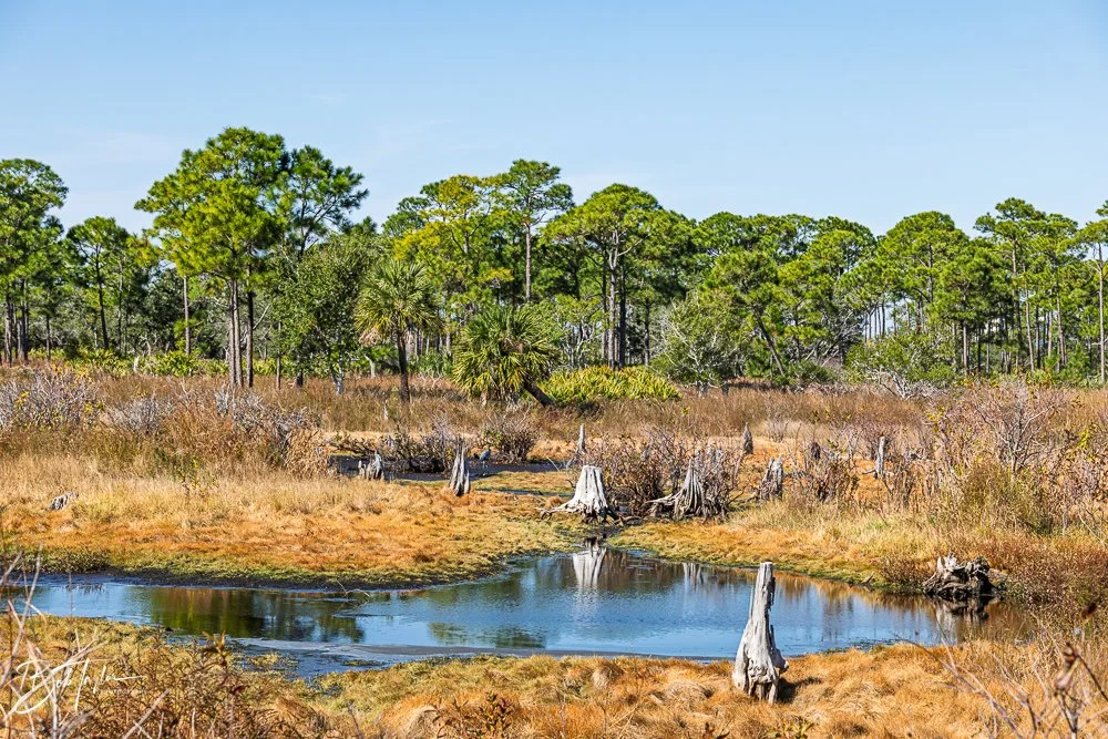 20251116-SASP One Day -39.jpg