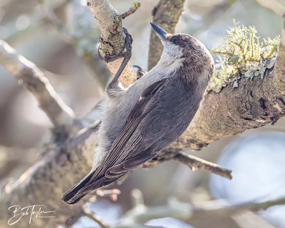 20260212-SASP -12.jpg