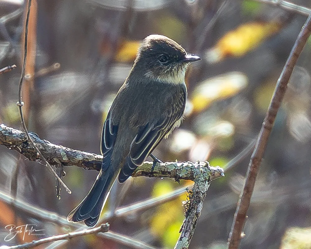 20251116-SASP One Day -43.jpg