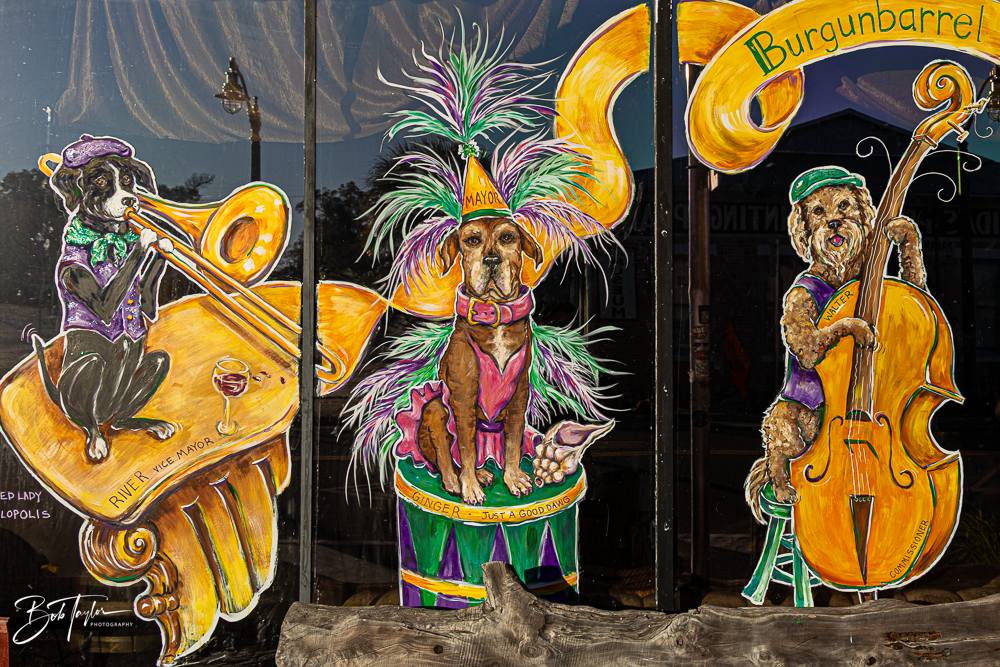 Mardi Gras Window Artwork