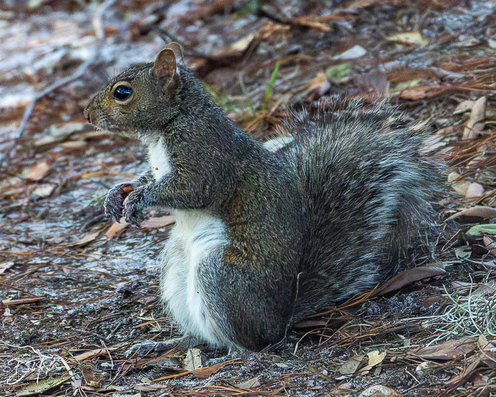 20260101-SASP -21.png