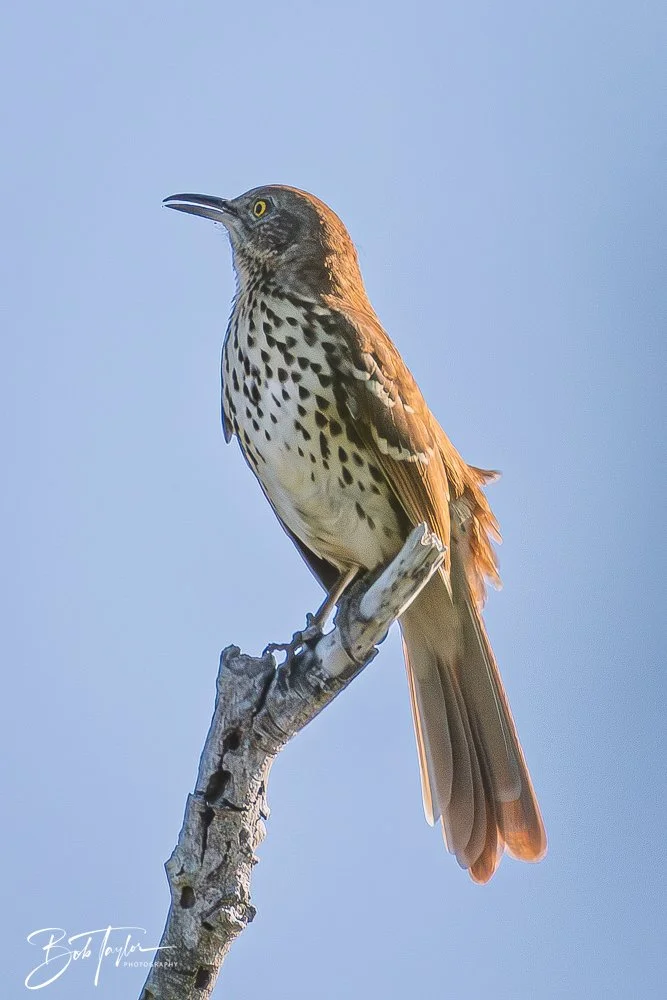 20251008-St Andrews SP -3.jpg