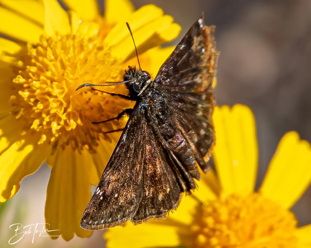 20251008-St Andrews SP -23.jpg