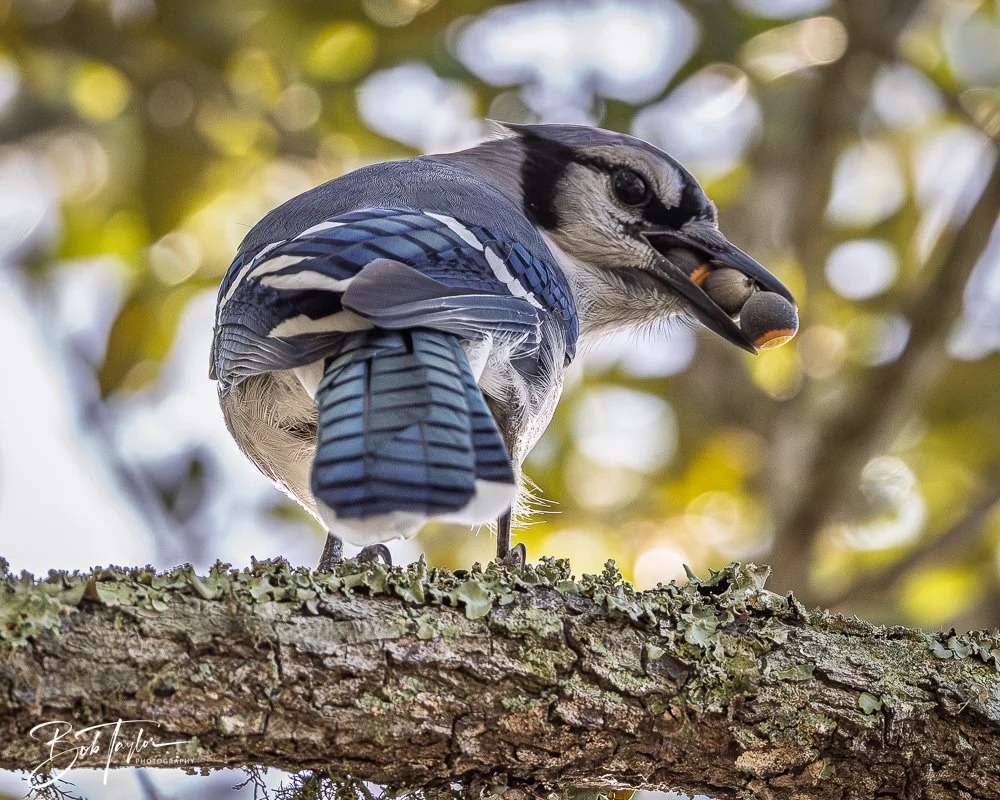 20251008-St Andrews SP -7.jpg