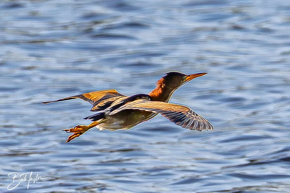 20251008-St Andrews SP -1.jpg