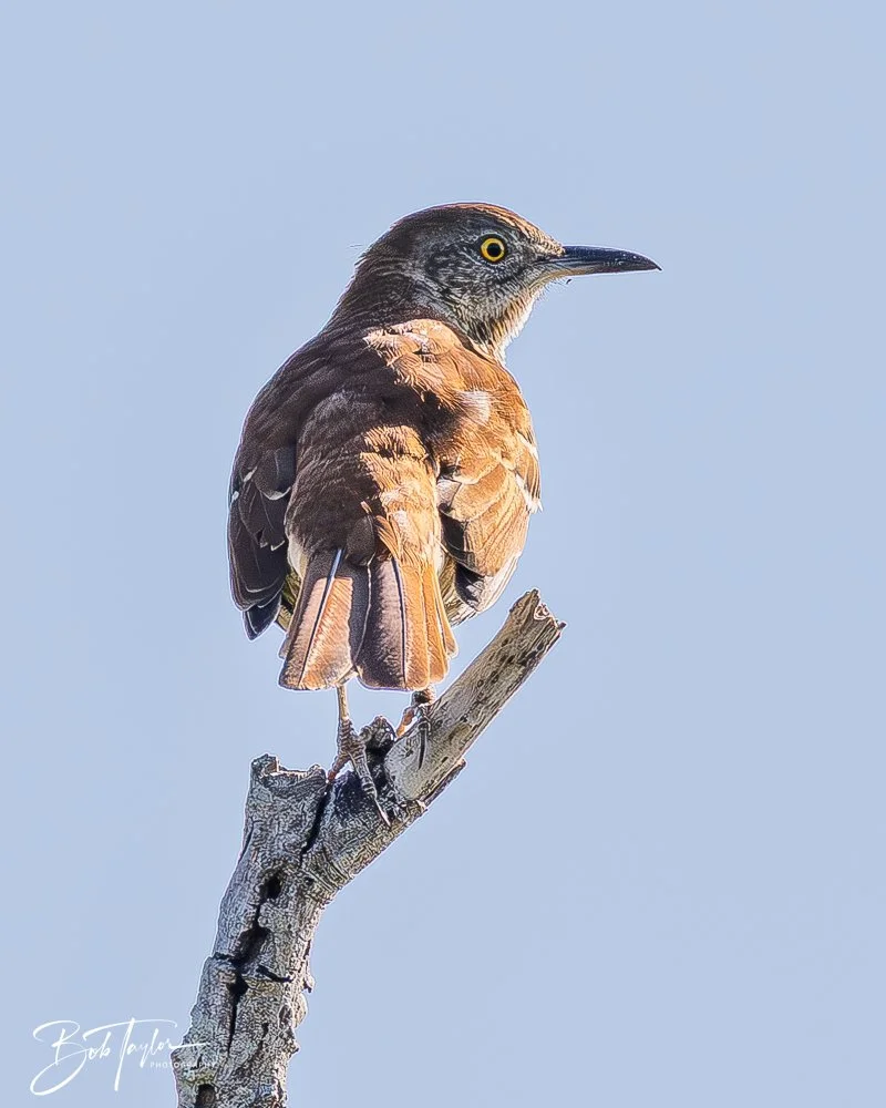 20251008-St Andrews SP -9.jpg