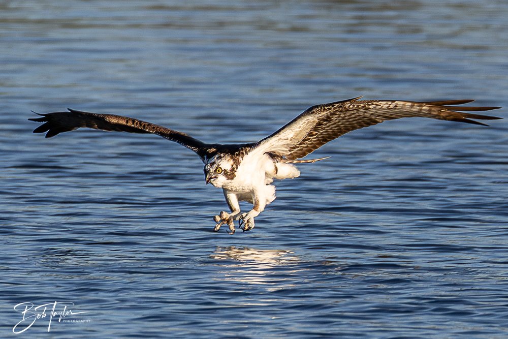 20251103-SASP Gator Lake -21.jpg